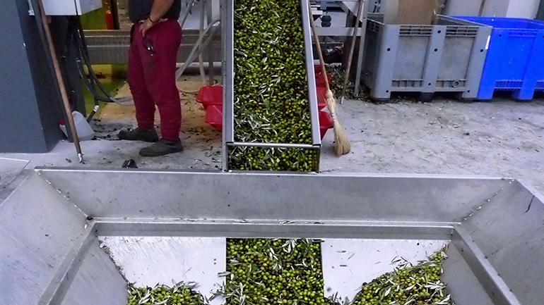 Διατέθηκαν 5.000 rapid test για έλεγχο κορωνοϊού σε εργάτες γης από την Περιφέρεια Πελοποννήσου