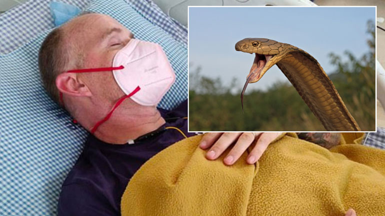 Βρετανός που ξεπέρασε την ελονοσία, τον δάγκειο πυρετό και τον Covid-19 παλέυει να σωθεί από το δάγκωμα ενός φιδιού