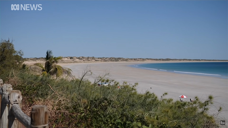 Καρχαρίας κατασπάραξε λουόμενο στην Αυστραλία
