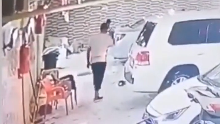 Το ένστικτο της επιβίωσης