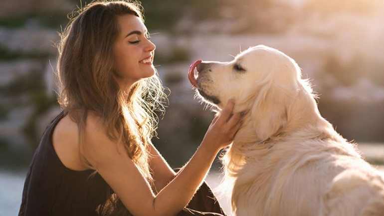 Τι χρειάζεστε για να εκδώσετε άδεια κατοχής για τον σκύλο σας