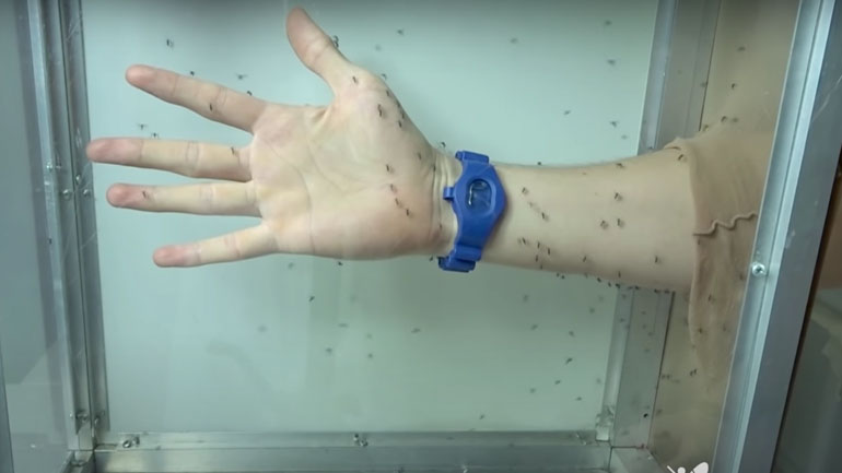 Η αποτελεσματικότητα ενός βραχιολιού κατά των κουνουπιών