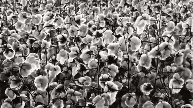 «Storm of Hope» – Ατομική έκθεση του Ρόμπερτ Λόνγκο στο Λος Άντζελες