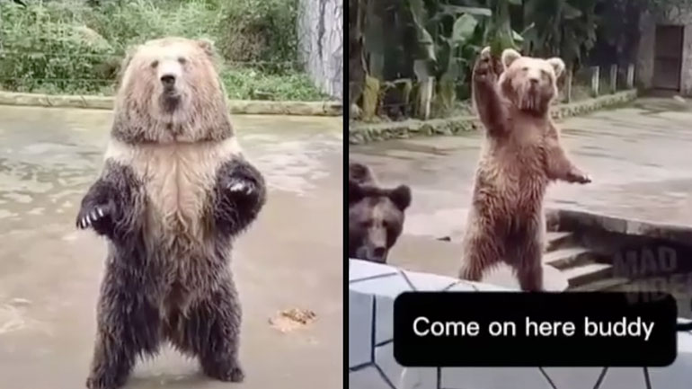 Πέτα και σε εμένα!