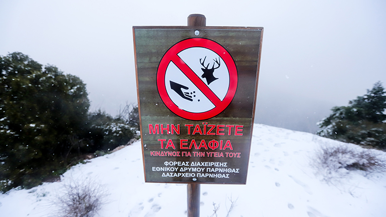 Σημαντική πτώση της θερμοκρασίας σήμερα Δευτέρα: Θα χιονίσει και στην Πάρνηθα μετά το απόγευμα