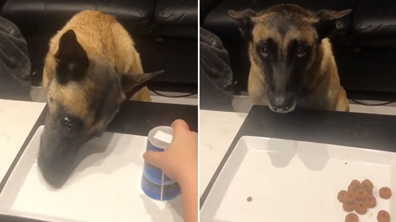 Σκέτη απογοήτευση 