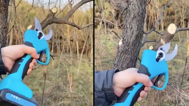 Ηλεκτρικό κλαδευτήρι