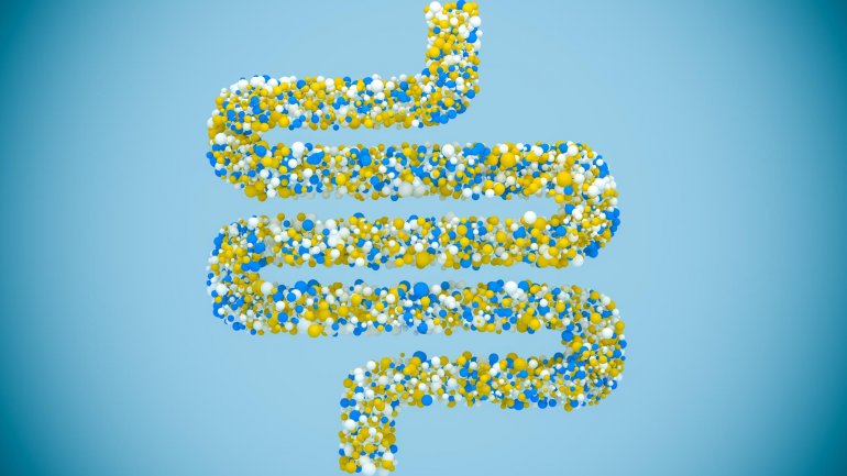 Τι επιπτώσεις έχει το αλκοόλ στα προβιοτικά;