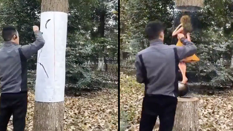 Ζωγραφική στον κορμό ενός δέντρου