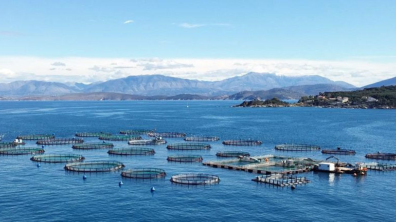 Σχέδιο ανάπτυξης των Υδατοκαλλιεργειών μετά την απόφαση του ΣτΕ