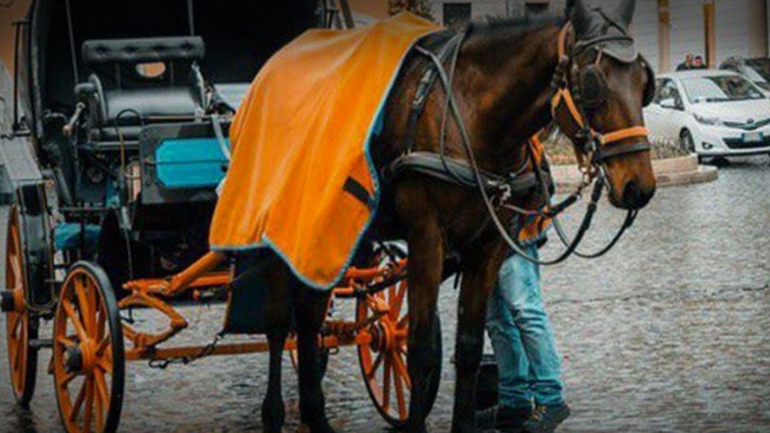 Ιταλία: Η Ρώμη απαγορεύει τις άμαξες με τα άλογα από τους δρόμους της