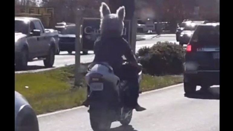 Κράνος μοτοσικλέτας με αυτιά