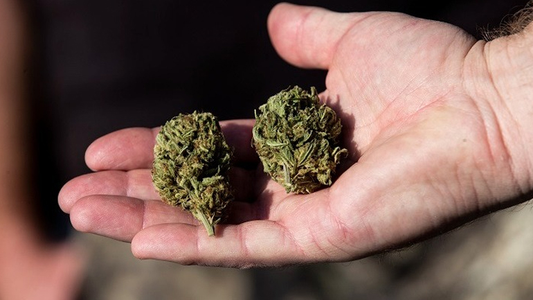 ΗΠΑ: Η Βουλή των Αντιπροσώπων ψήφισε υπέρ της αποποινικοποίησης της κάνναβης σε ομοσπονδιακό επίπεδο