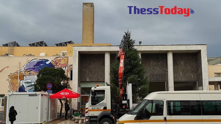 Στολίζουν το χριστουγεννιάτικο δέντρο στο ΑΧΕΠΑ