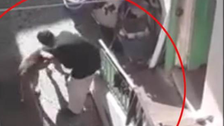 Κακοποίηση ζώου στο Ηράκλειο Κρήτης: Ηλικιωμένη χτυπάει τον σκύλο του γιού της