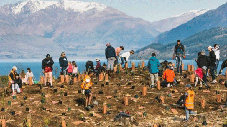 Η Νέα Ζηλανδία θέλει να μετατρέψει τις απογοητεύσεις του 2020 σε ένα δάσος της ελπίδας