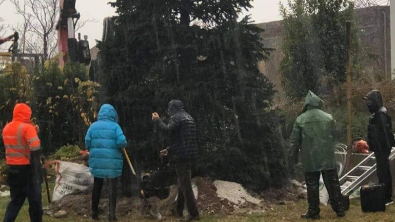 Έλατο από την Ιταλία μεταφυτεύτηκε μπροστά από το κτήριο της Περιφέρειας Κεντρικής Μακεδονίας Έλατο από την Ιταλία μεταφυτεύτηκε μπροστά από το κτήριο της Περιφέρειας Κεντρικής Μακεδονίας