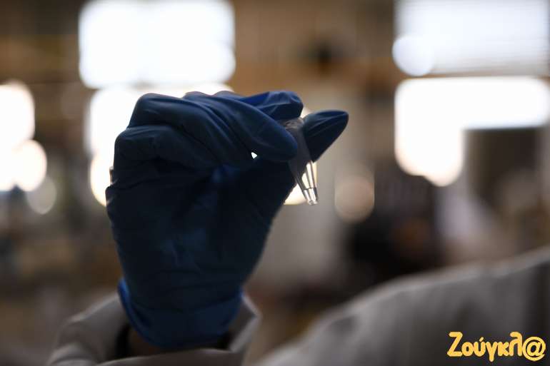 Αυτό είναι το τελικό προϊόν της επεξεργασίας, από το οποίο προκύπτουν τα συμπεράσματα των επιστημόνων