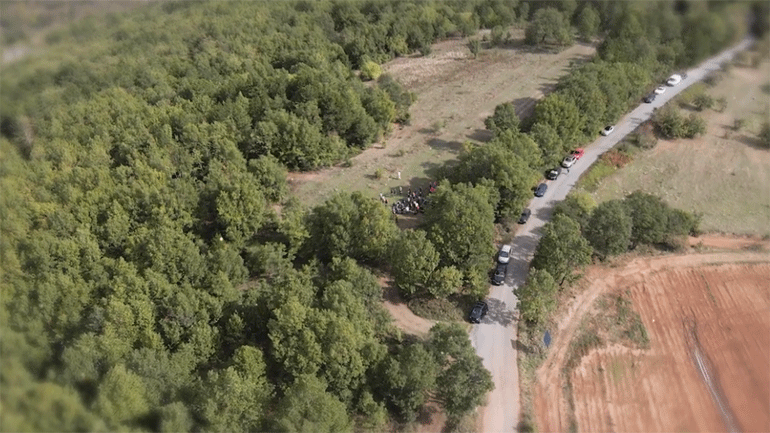 Μανιταροεξόρμηση στα Άνω Δολιανά… από ψηλά