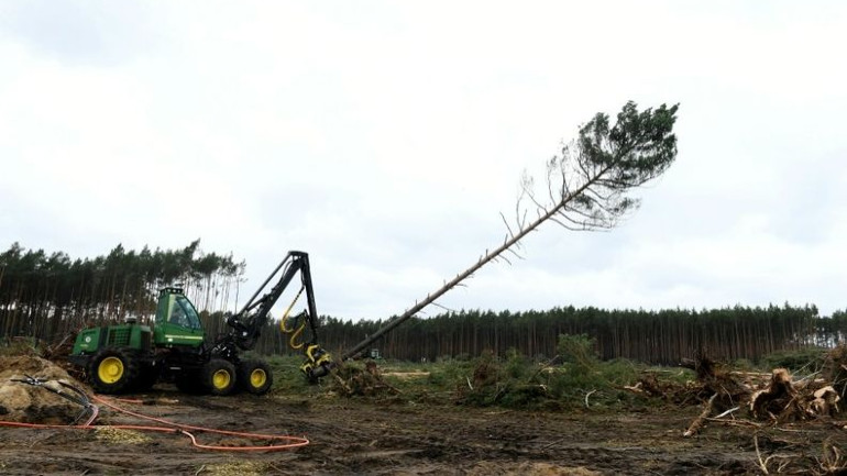 Σταματά η κατασκευή μονάδας Tesla λόγω… φιδιών