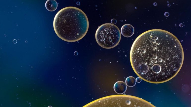 Τα ωάρια παρουσιάζουν ατέλειες εκπληκτικά συχνά