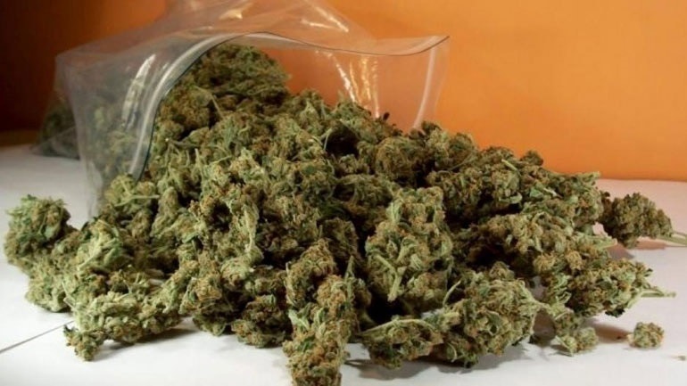 Θεσσαλονίκη: Κρυμμένη κάνναβη εντόπισε ο αστυνομικός σκύλος «Ακύλας» Θεσσαλονίκη: Κρυμμένη κάνναβη εντόπισε ο αστυνομικός σκύλος «Ακύλας»