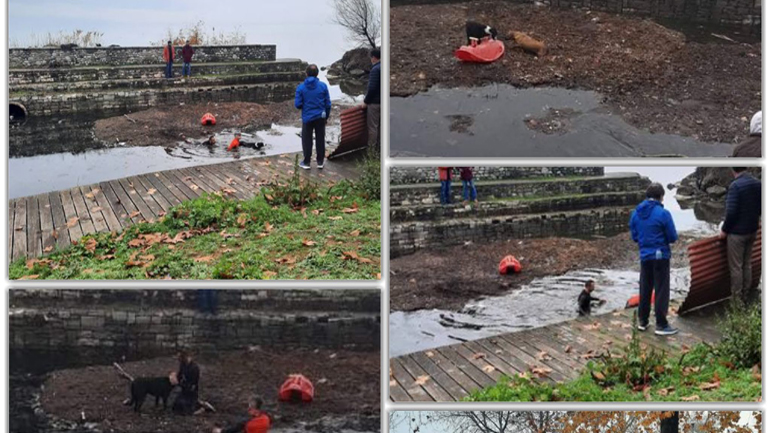 Ιωάννινα: Δρομείς έπεσαν σε παγωμένα νερά και έσωσαν από πνιγμό δύο αδέσποτα σκυλιά