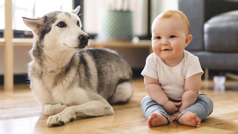 Τα μωρά που μεγαλώνουν σε σπίτια με σκύλους είναι πιο υγιή