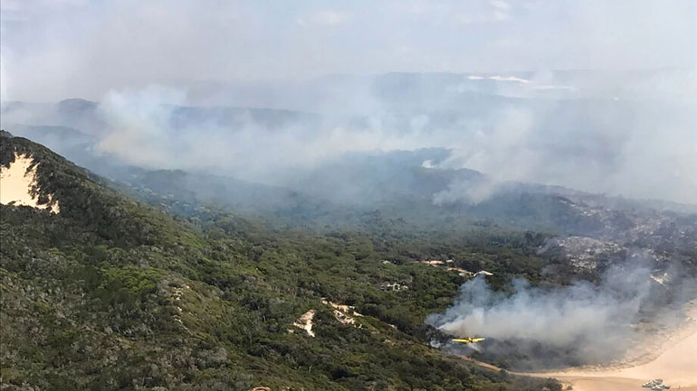 Αυστραλία: Υπό έλεγχο τέθηκε η γιγάντια πυρκαγιά στη νήσο Φρέιζερ