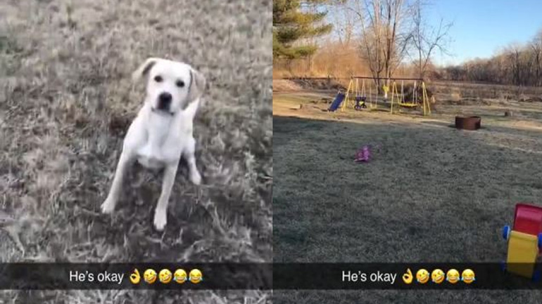 O σκύλος είναι εντάξει