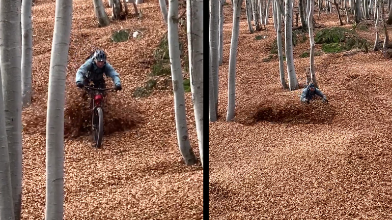 Ποδηλάτης χάνεται σε ένα μονοπάτι με ξερά φύλλα