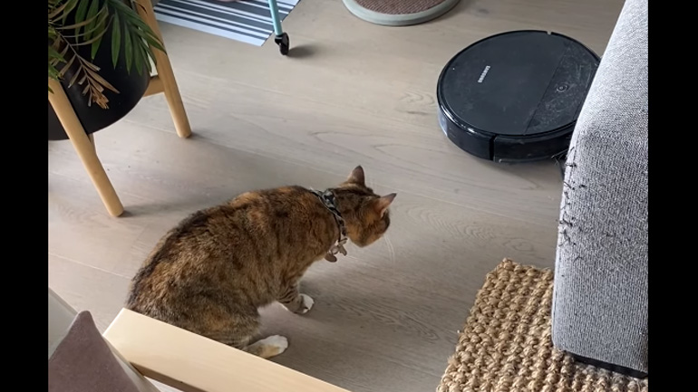 Η τρομακτική ρομποτική σκούπα