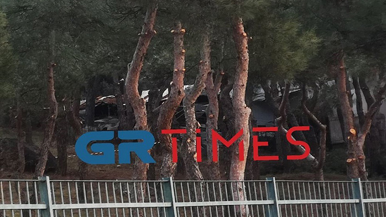 Θεσσαλονίκη: Συναγερμός στην ΕΛ.ΑΣ. – Εντοπίστηκε εκρηκτική ύλη σε δασάκι της Πολίχνης