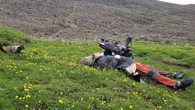 Όχι, δεν είναι γευστικός!