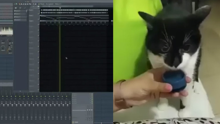 Το τραγούδι της γάτας Το τραγούδι της γάτας