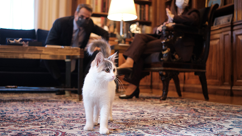 Πρόεδρος της Δημοκρατίας προς Μητσοτάκη: «Δεν ξέρεις την Καλυψώ;»