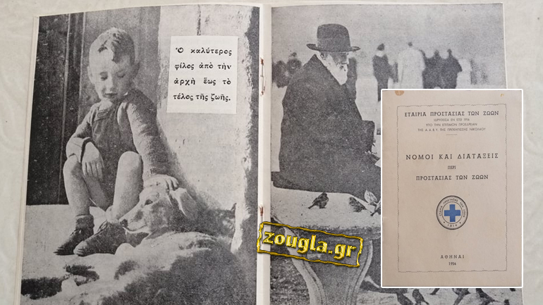 «Ο βασανιστής έχει πάντα άδικο»: Τι γράφει ένα σπάνιο εγχειρίδιο για τη φιλοζωία στην Ελλάδα του 1950!