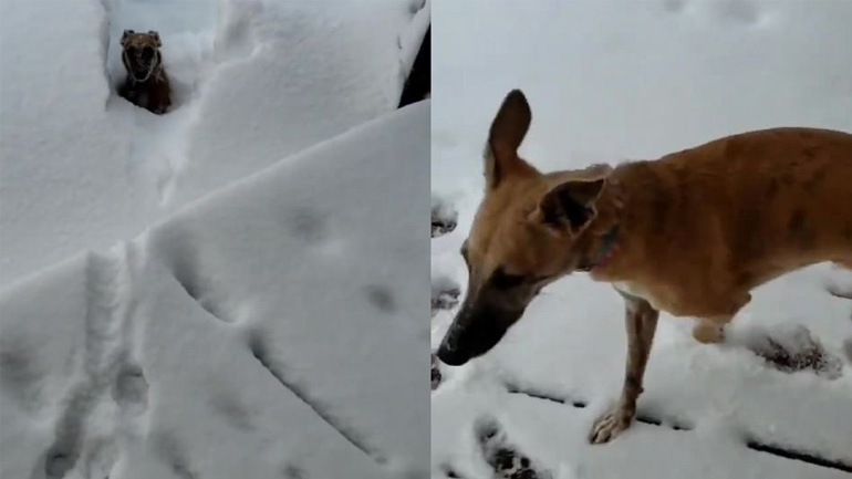 Ο ενθουσιασμός έφυγε πολύ γρήγορα Ο ενθουσιασμός έφυγε πολύ γρήγορα