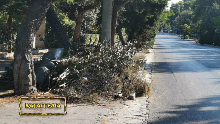 Καταγγελία: «Διαμαρτυρήθηκα για τα σκουπίδια στην Κηφισιά και μου ζήτησαν και τα ρέστα»