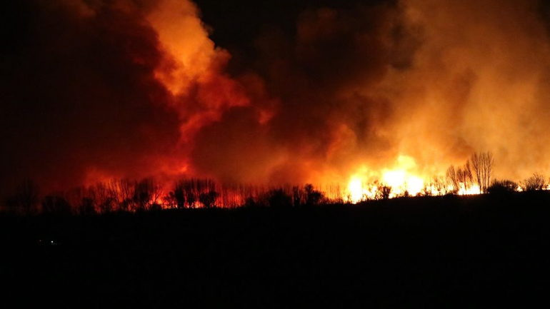 Κόρινθος: Φωτιά σε καλαμιές στη λίμνη Στυμφαλία Κόρινθος: Φωτιά σε καλαμιές στη λίμνη Στυμφαλία