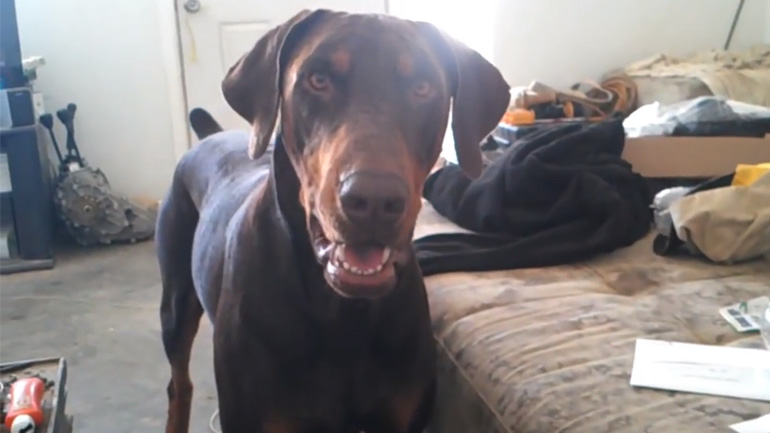 Θες την μπάλα; Φέρε μια μπίρα! Θες την μπάλα; Φέρε μια μπίρα!