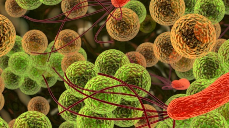 Πώς τα κύτταρα του εντέρου αντιδρούν όταν εισβάλλουν παράσιτα