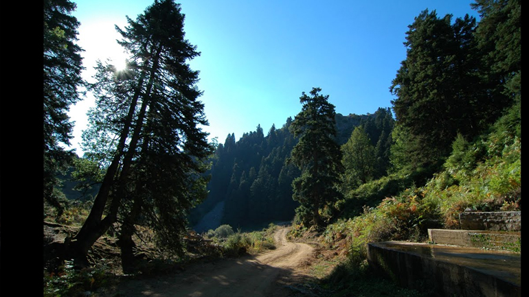 Βόλος: Αναζητείται 16χρονη που χάθηκε στο όρος Όθρυς