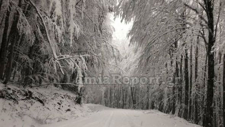 Φθιώτιδα: Κατέβηκαν πιο χαμηλά τα χιόνια