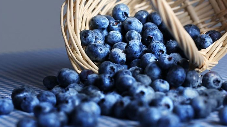 Γιατί αποκαλούν τo μύρτιλο ελιξήριο της νεότητας;