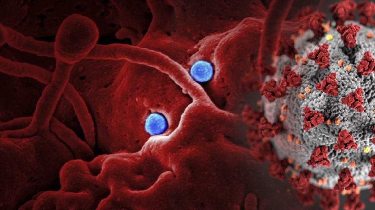 ΠΟΥ: Νέα παραλλαγή του κορωνοϊού εντοπίστηκε στην Ιαπωνία