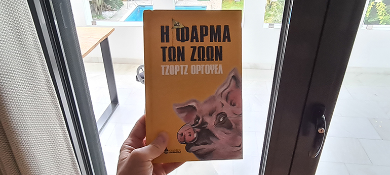 Γουρουνάκια... παντού!