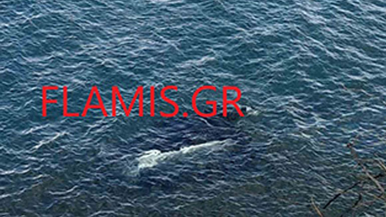 Πάτρα: Αυτοκίνητο έπεσε στη θάλασσα – Σώα η οδηγός