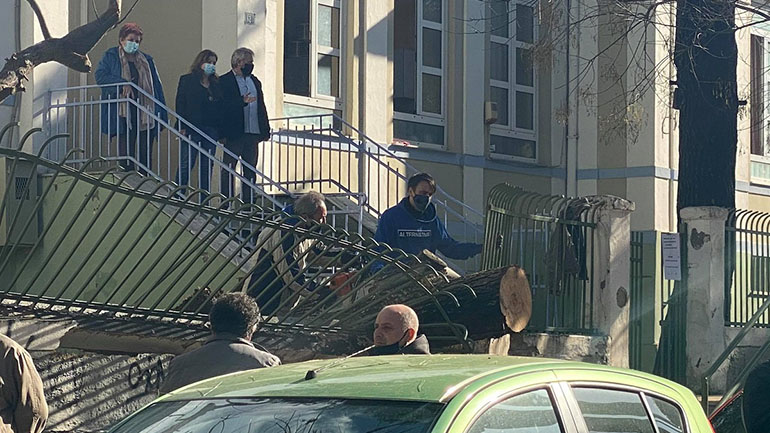 Θεσσαλονίκη: Δέντρο έπεσε σε αυλή δημοτικού