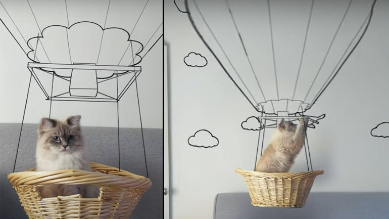 Ένας γάτoς σε αερόστατο